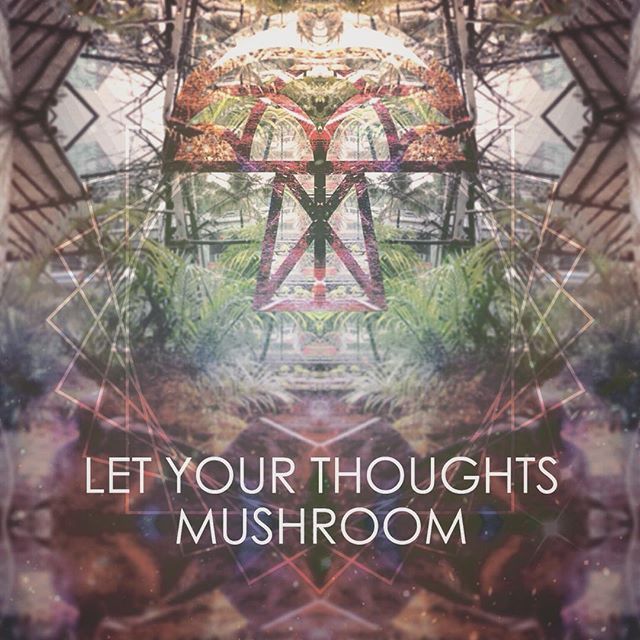 A digital art piece featuring a stylized mushroom surrounded by palm plants.