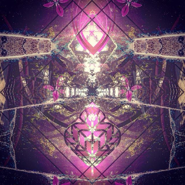 Stylized pink leaves blooming in a lush forrest at night.